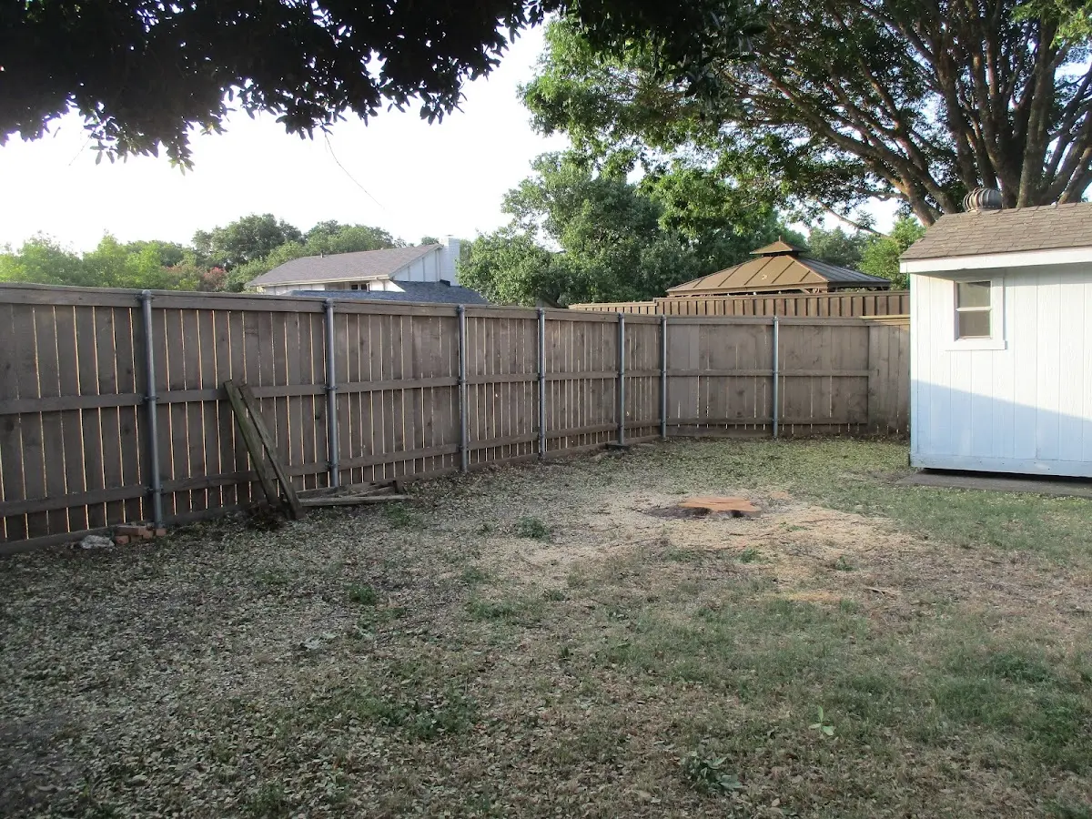 Cleared yard after professional tree removal in Belcourt
